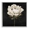 Stupell Industries Pretty Delicate Bloom on Black Framed Giclee, design by Patricia Pinto